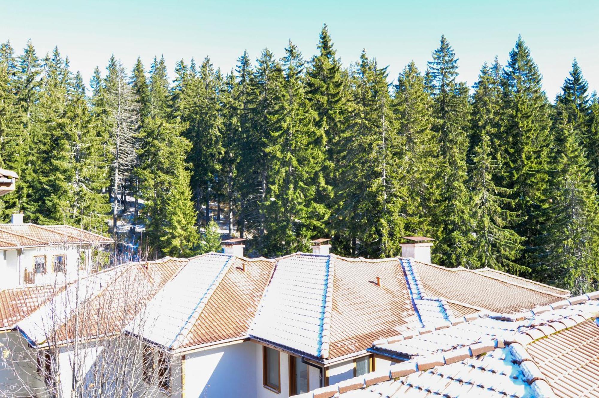Myplace Pamporovo Апартаменти За Отдих Εξωτερικό φωτογραφία