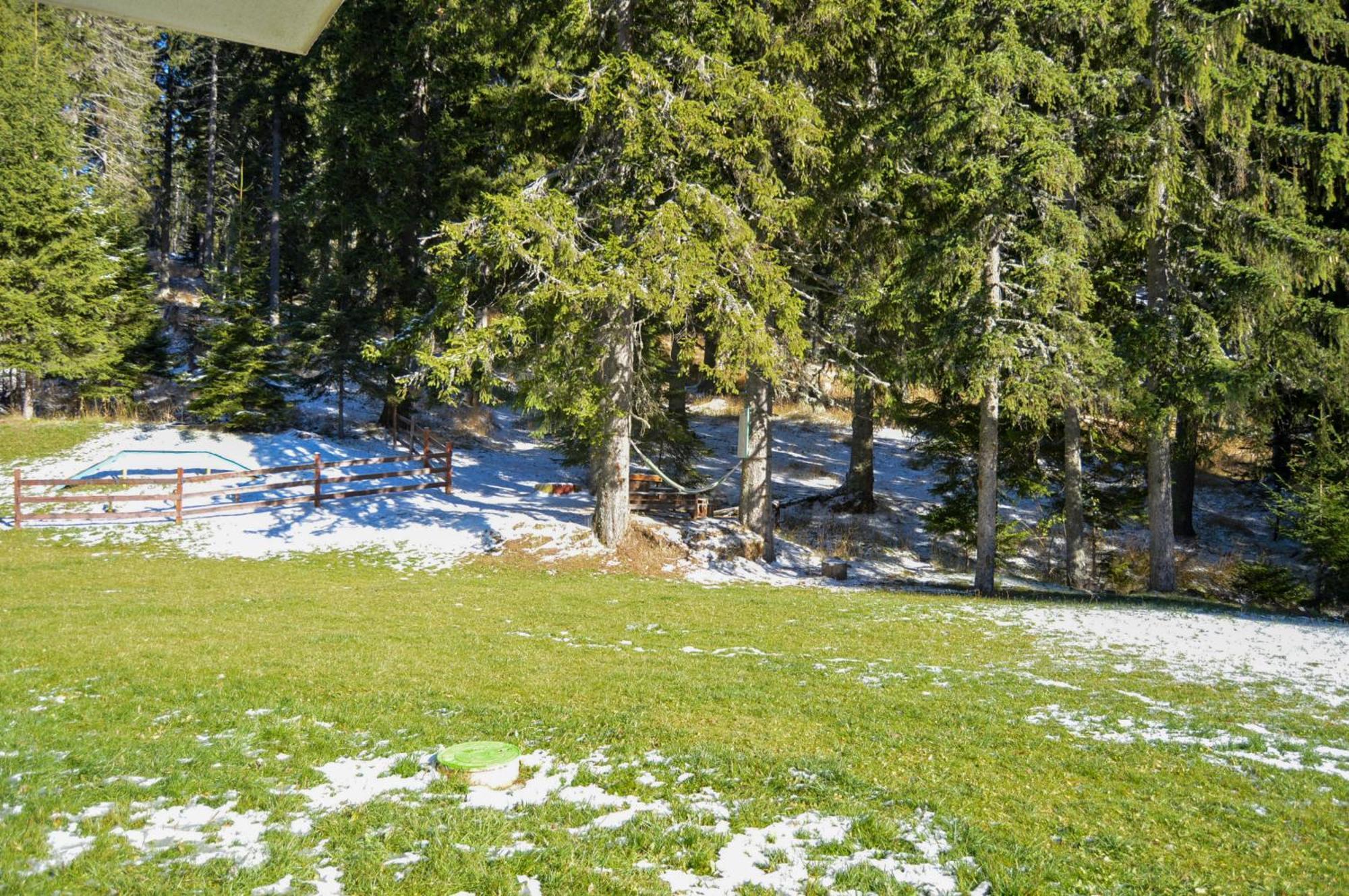 Myplace Pamporovo Апартаменти За Отдих Εξωτερικό φωτογραφία